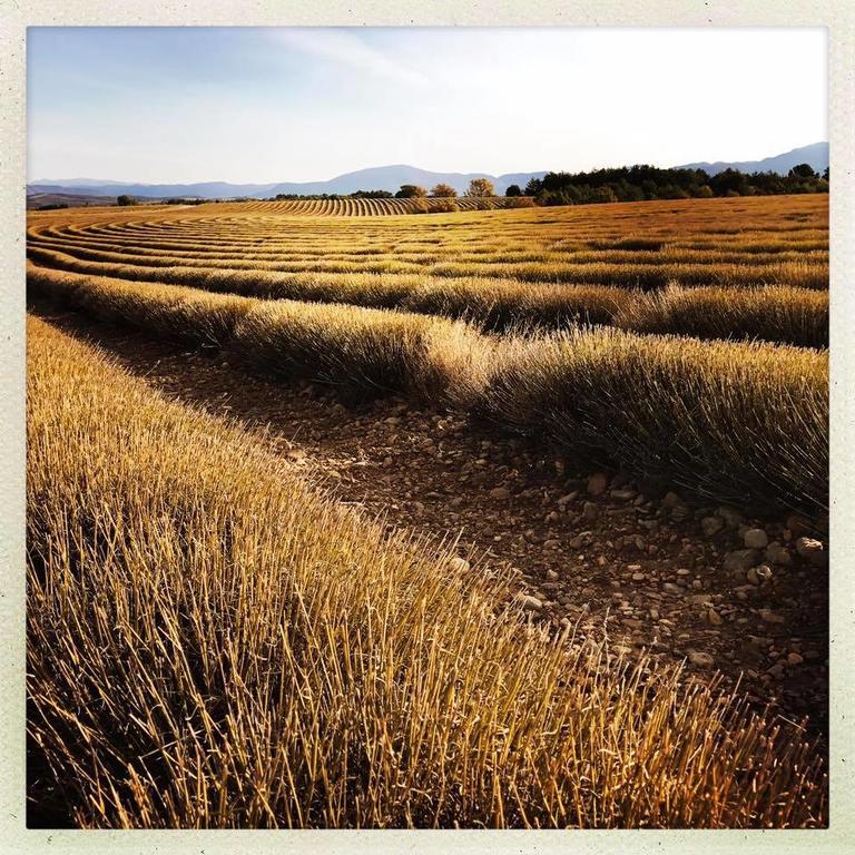 La Campagne De Petre 호텔 Entrevennes 외부 사진